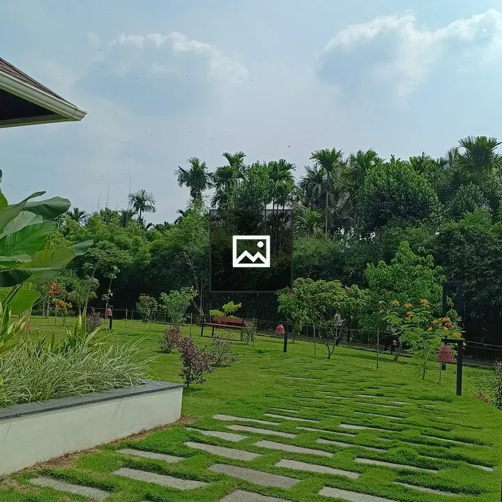 Garden with stepping stone path
