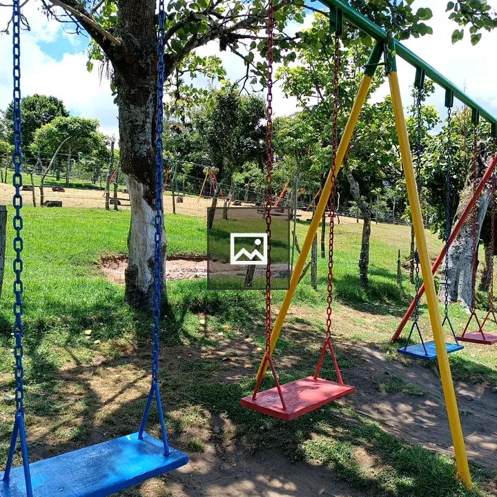 Playground Swings Under Frame
