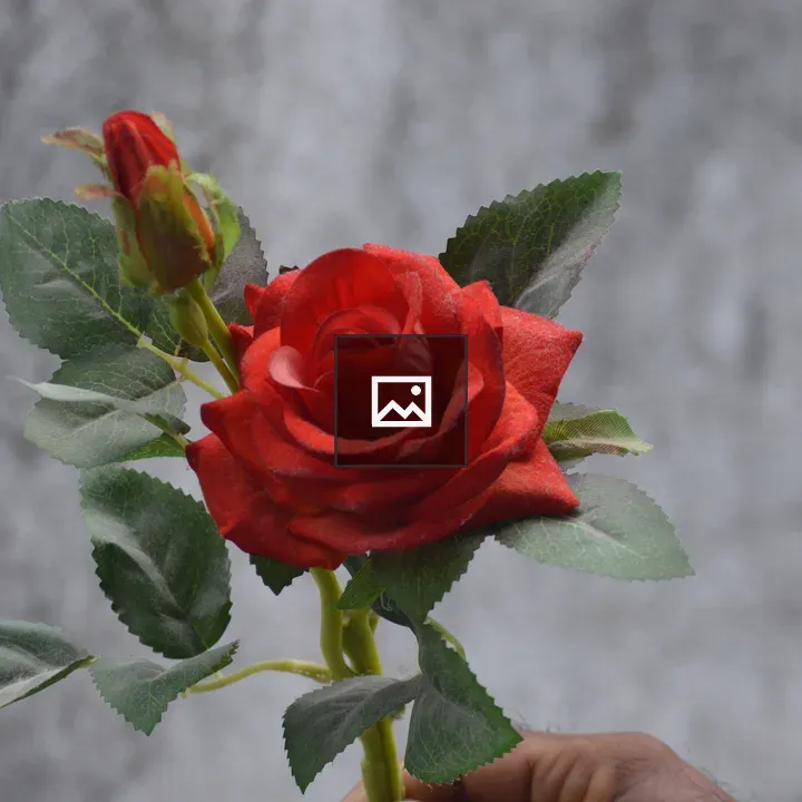 Red Rose with Leaves