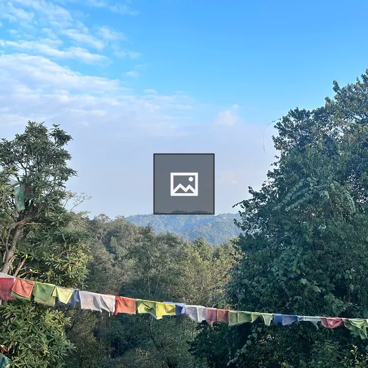 Nagarkot View Tower Forest