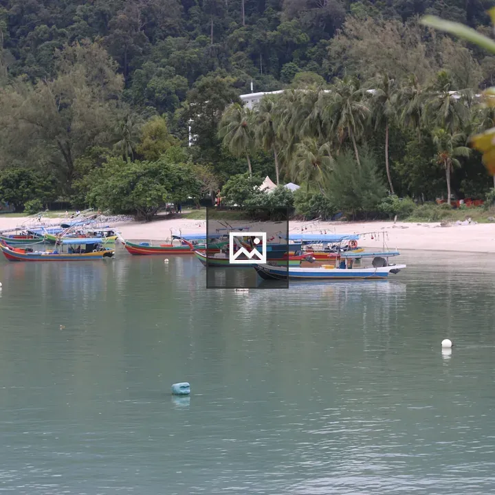 Coastal boats by palm-lined shore