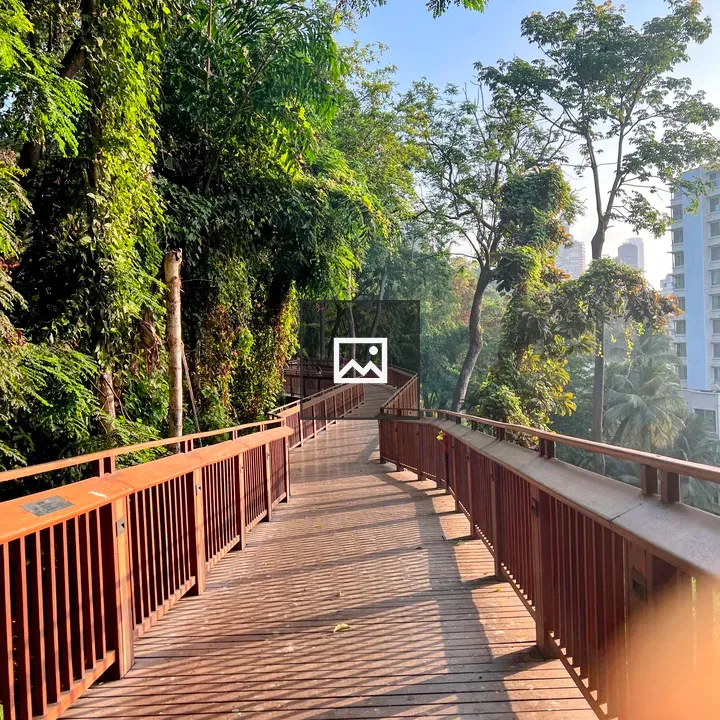 Winding wooden boardwalk