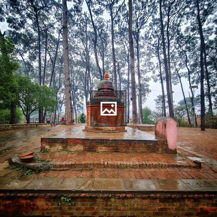 Temple Surrounded by Trees