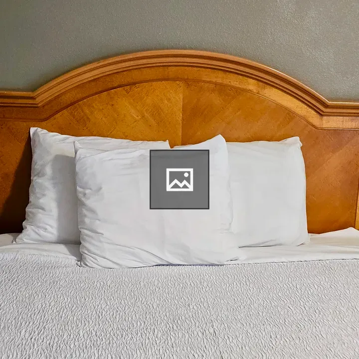 Hotel Room Bed and Bedding
