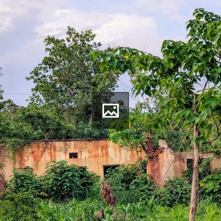 Diverse natural and urban scenes