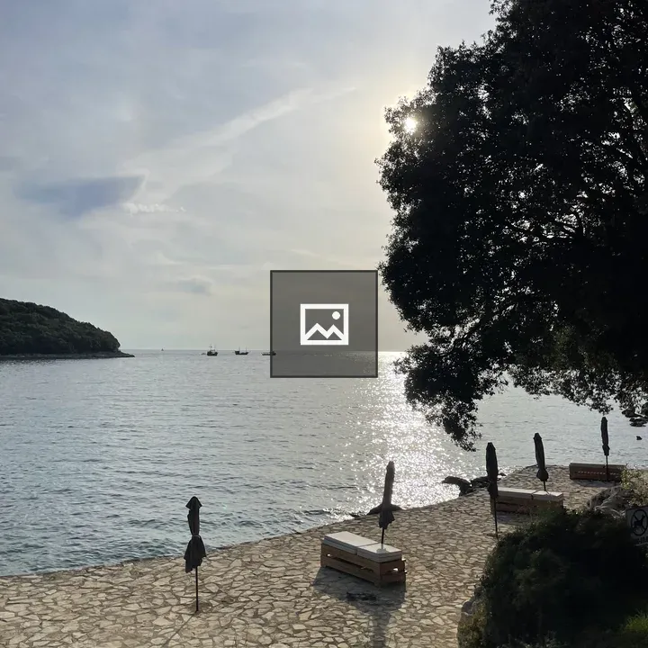 Coastal Path with Benches and Tree