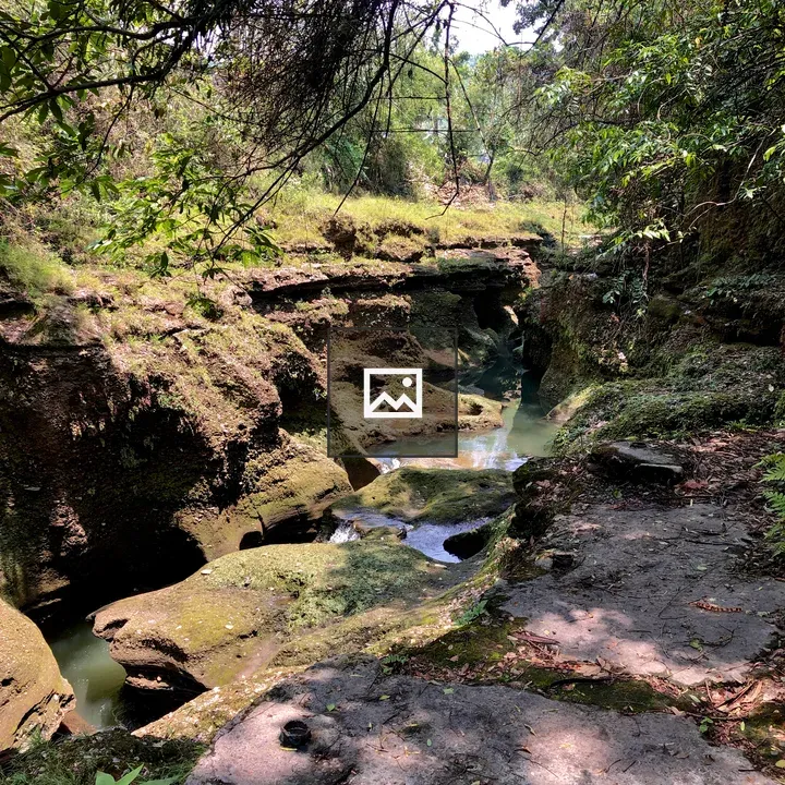 Rocky Creek in Green Wilderness