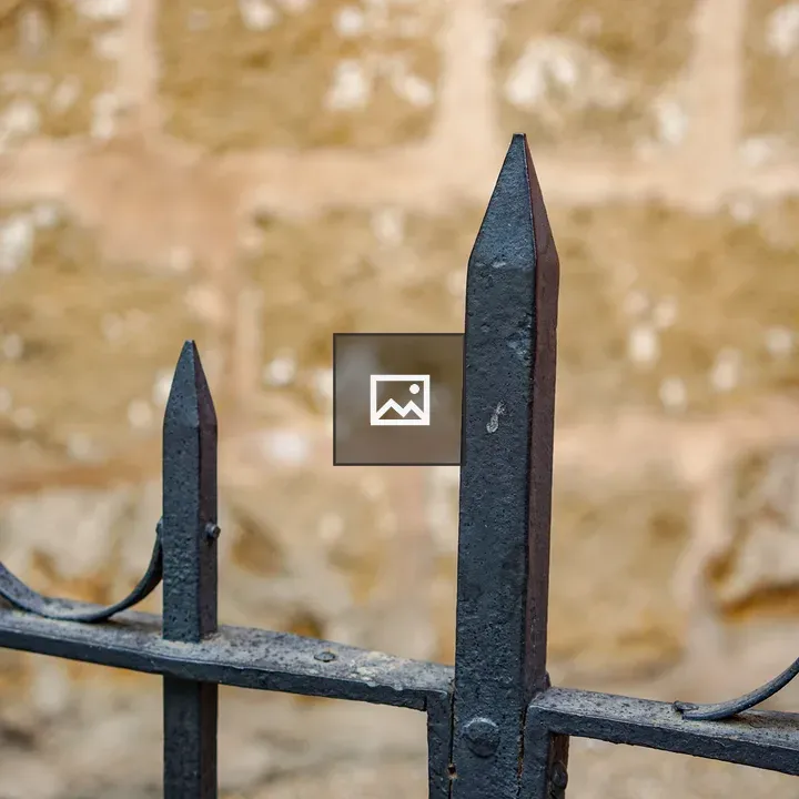 Decorative black wrought iron fence