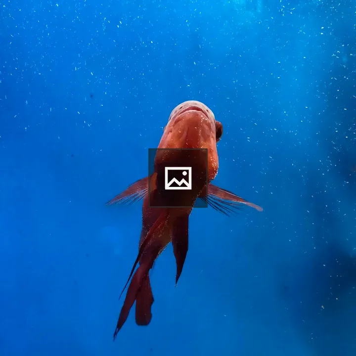 Beautiful fish in blue water