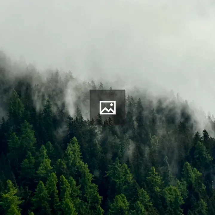 Trees on Mountain Slope