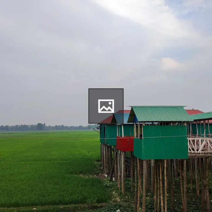 Paddy field with shops on crest