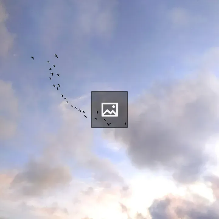 Sky with flying birds