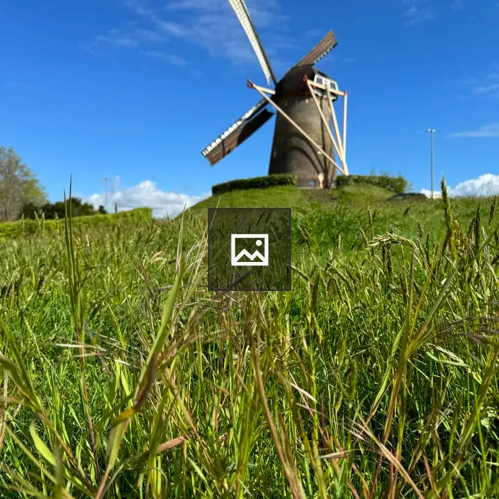 Windmill in Green Grass and Sky