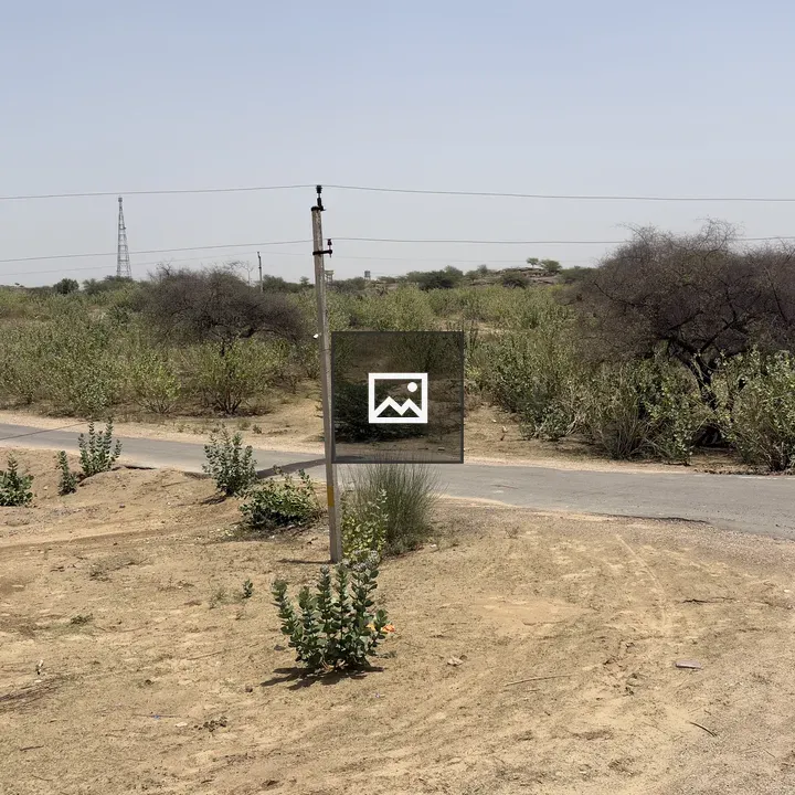 Rural Road with Sparse Vegetation