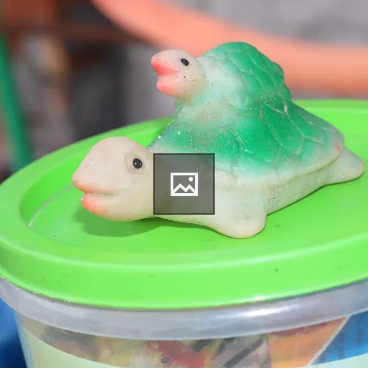 Plastic Tortoise Toy