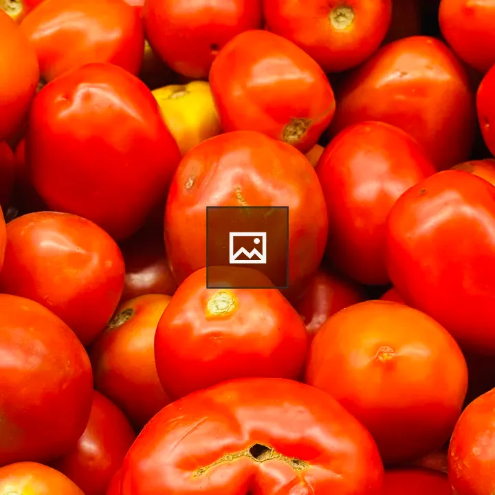 Ripe Tomatoes Close-Up