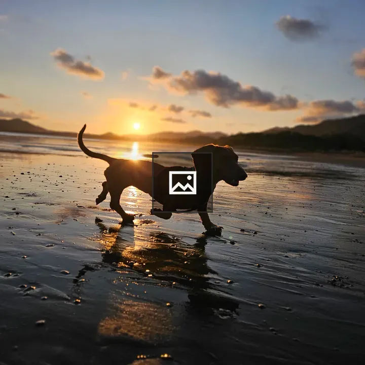 Dachshund on Beach at Sunset
