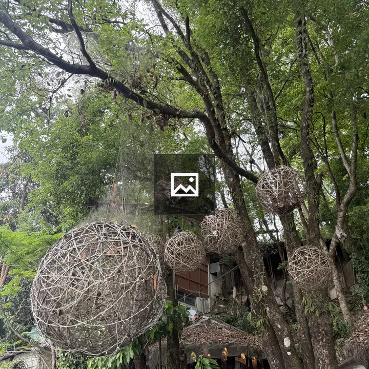 Nest in Tree Branches