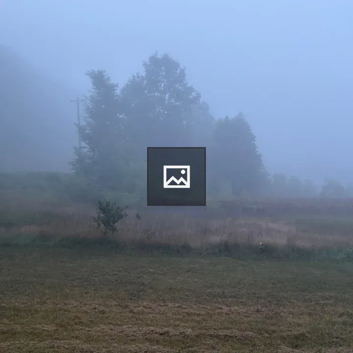 Morning Fields with Trees