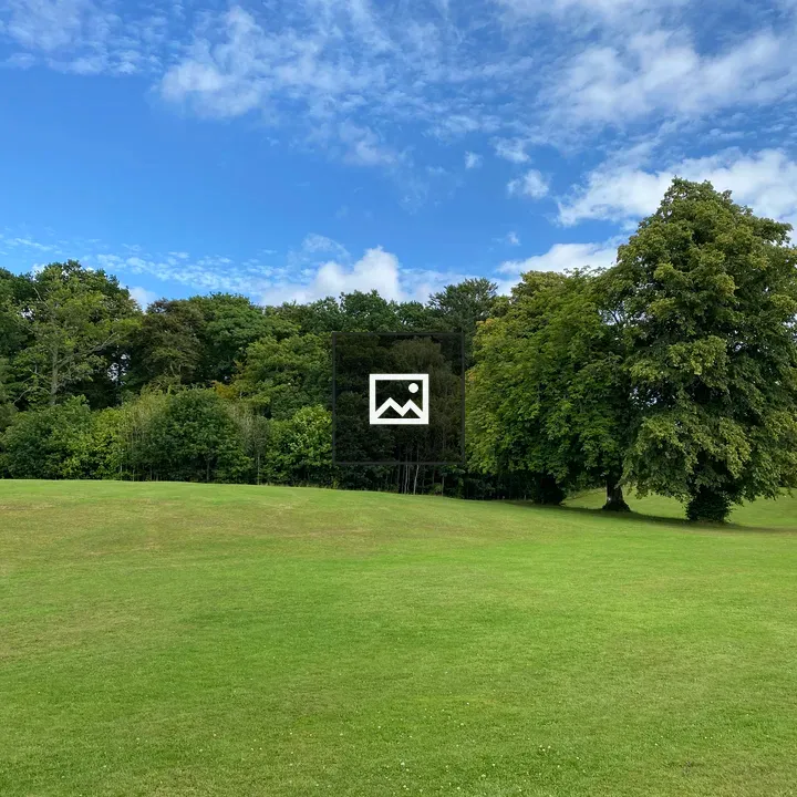 Field and Tree Line in Park