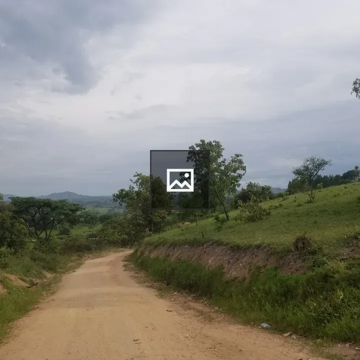 Road to Rwenkobwa in Ibanda District