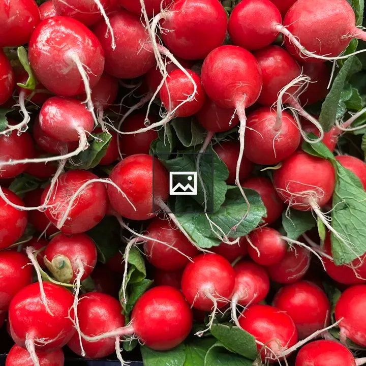 Radishes on Green Surface