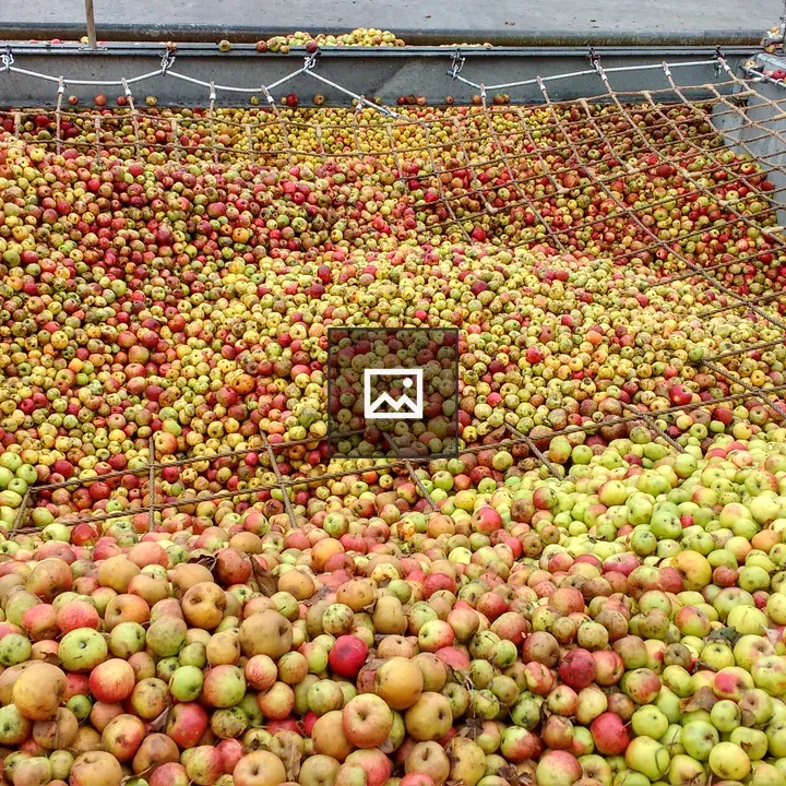 Apples in Free Stock Photo