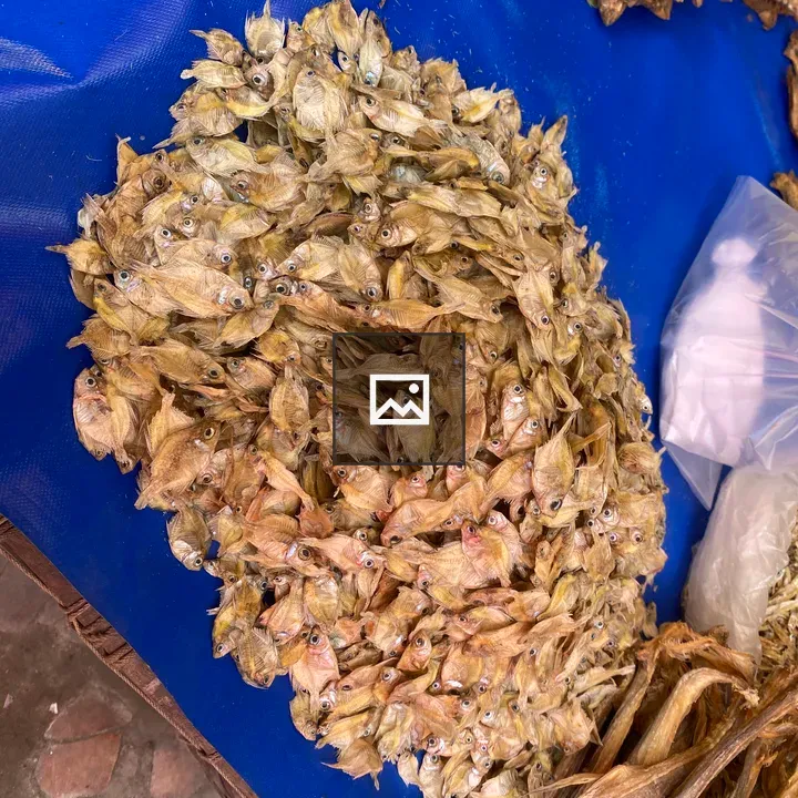 Dried fish on blue tarp