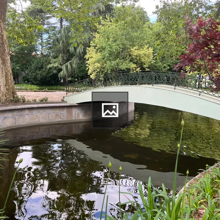 Walking bridge over a pond