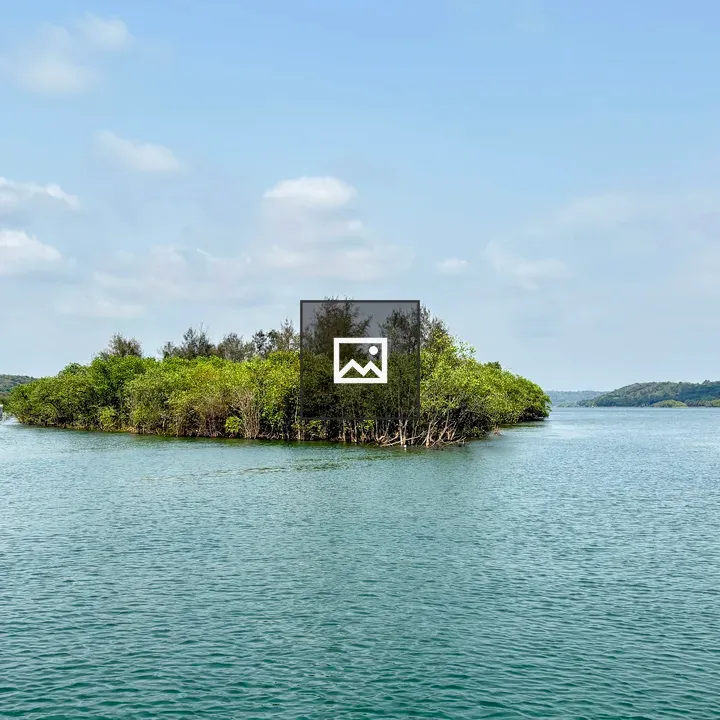 Island View with Green Waters