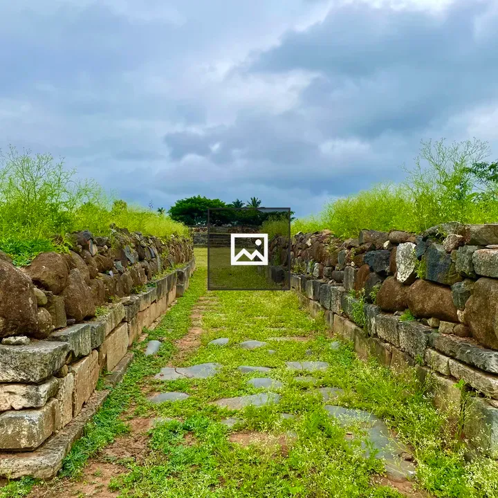 Ruins of Nageshwara temple
