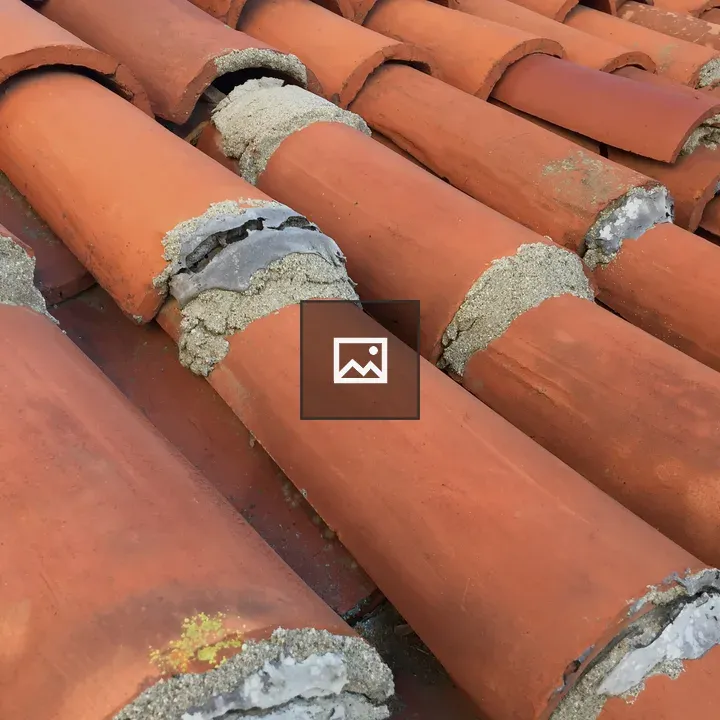 Old Spanish Roof Tiles