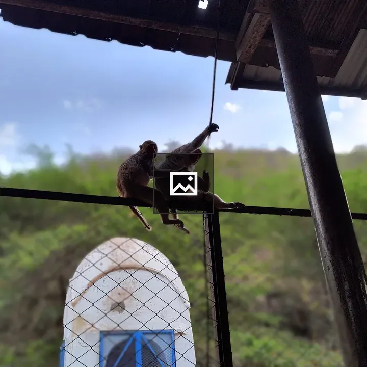 Two monkeys on railing