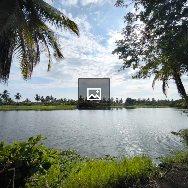 Serene tropical landscape with lake
