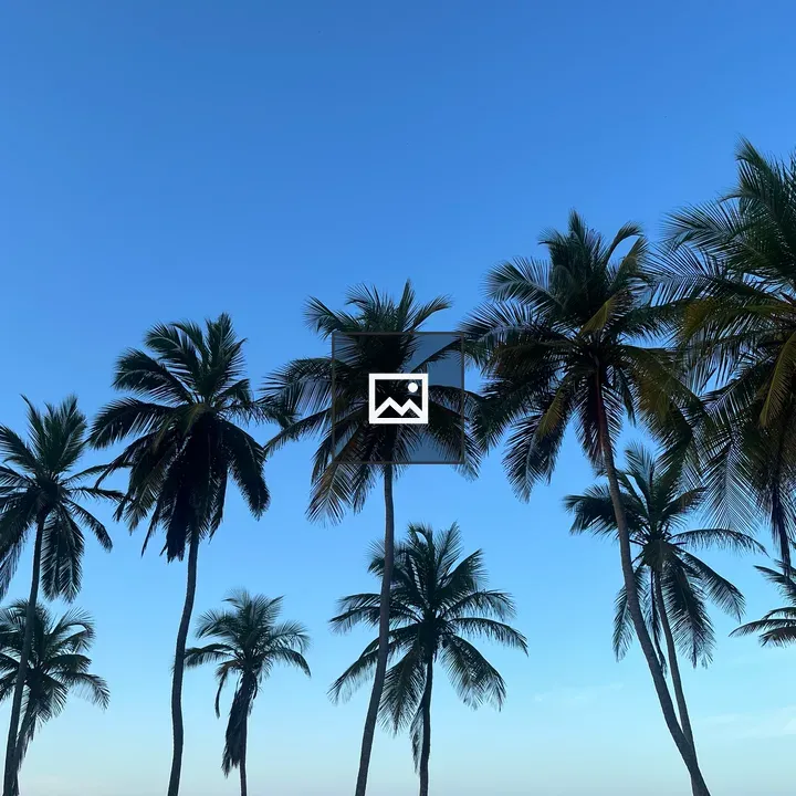 Palm Trees Silhouette Against Sky