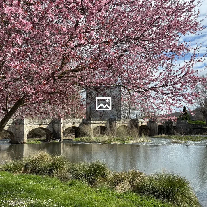 Stone Bridge Over Calm River
