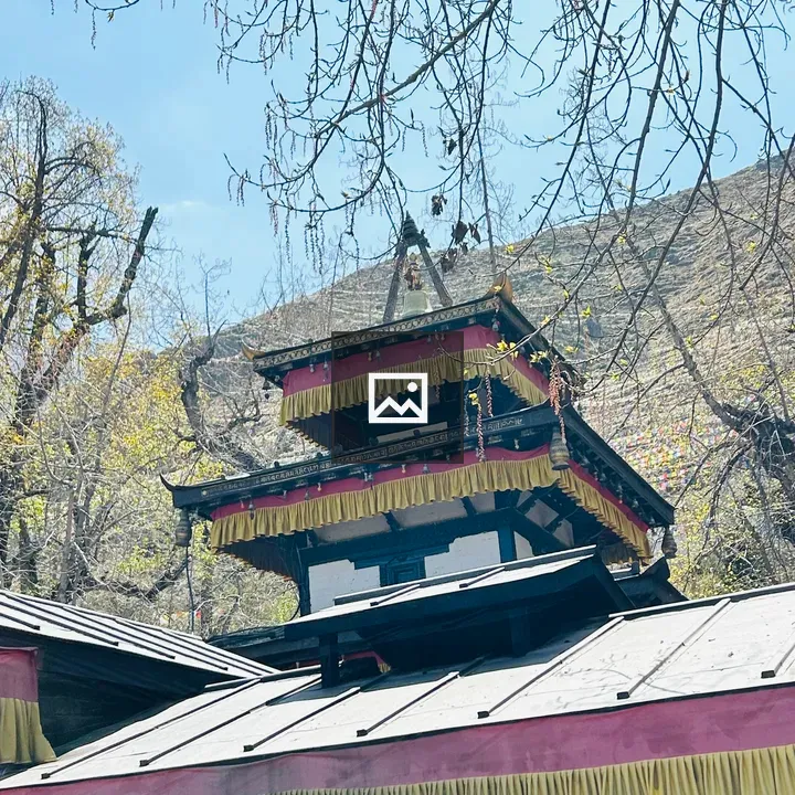Traditional temple roof with branches