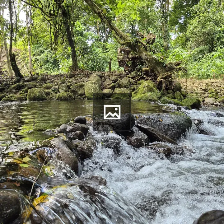 Calm River Over Stones