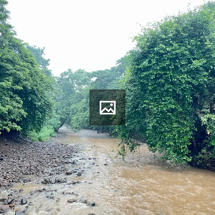 Serene river through green landscape