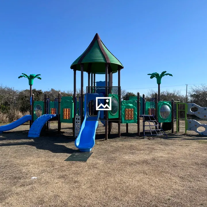 Playground structure with slides and palm motifs