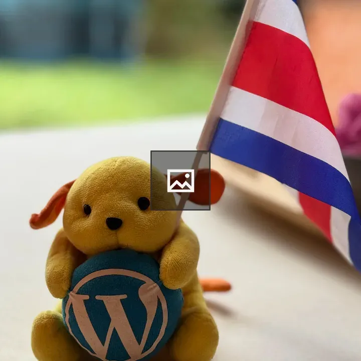 Wapuu with Costa Rica flag