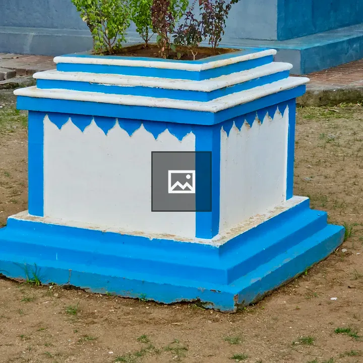 Blue and white planter with small plants
