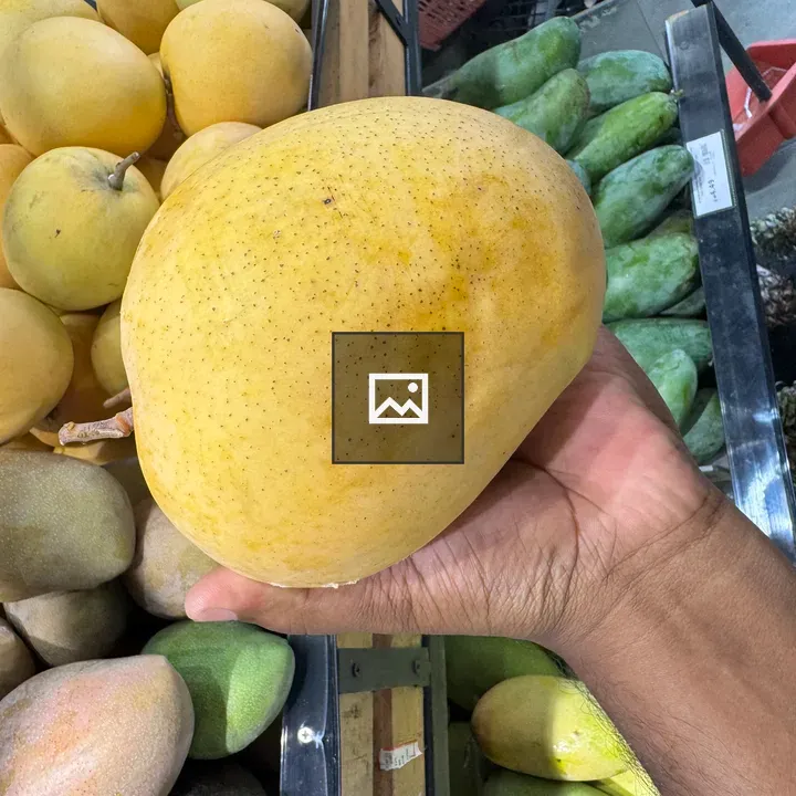 Mango held in hand