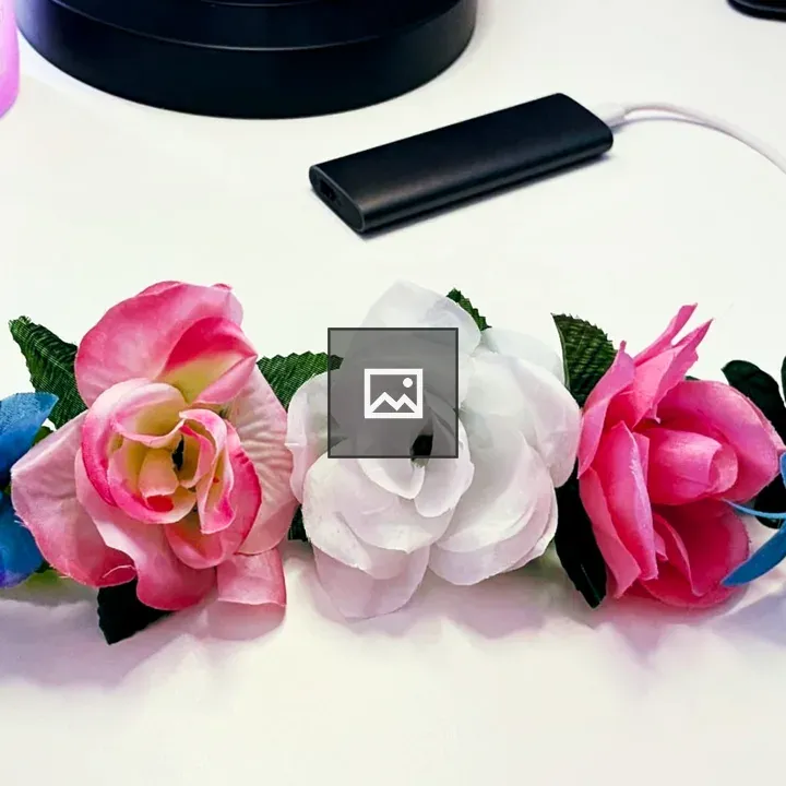 Five flowers in pride colors