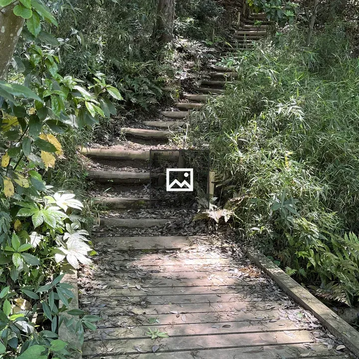 Walking Path Inside the Garden