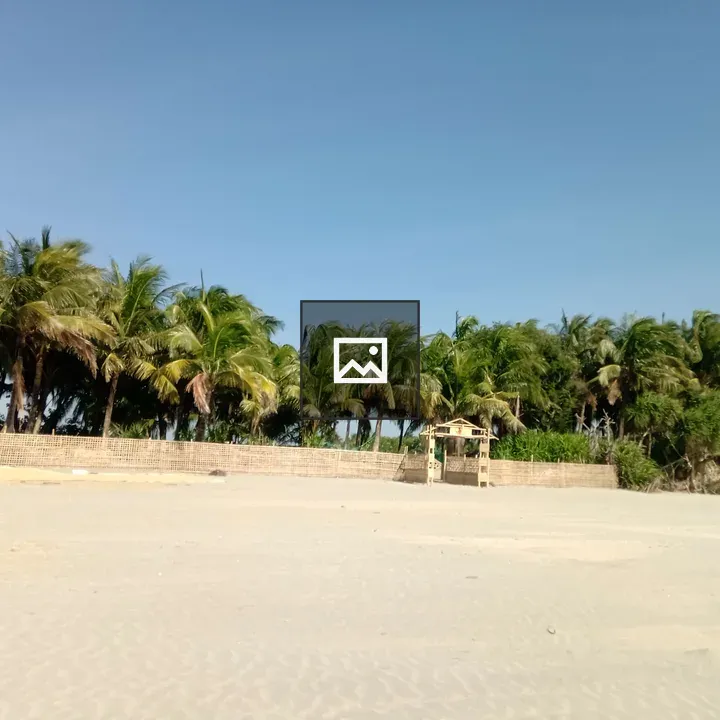 Seaside Forest of Trees