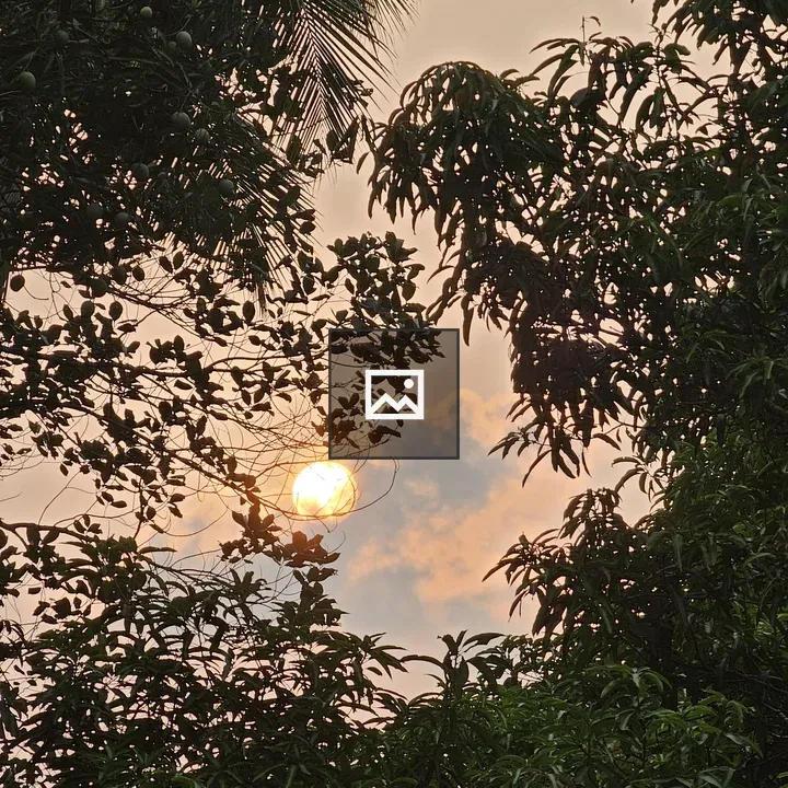 Sunlit Foliage at Sunset