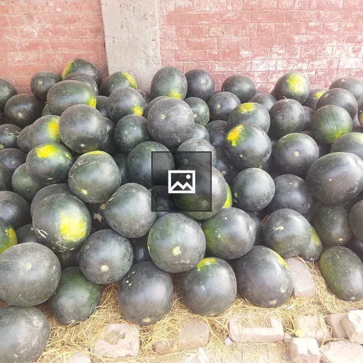 Watermelons by a red brick wall
