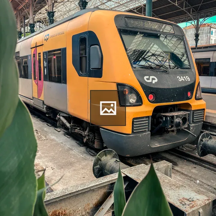 Train at Sao Bento Station