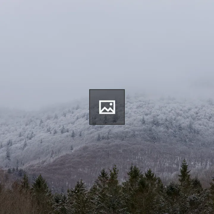 Snow-dusted Catskills Mountainside